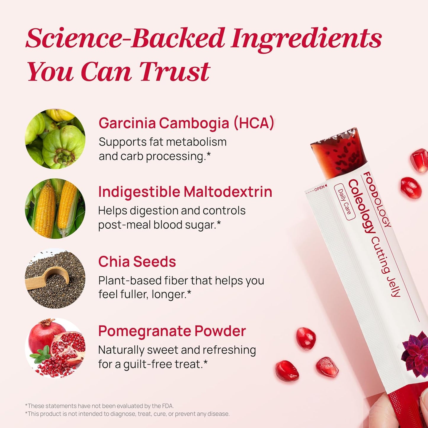 FOODOLOGY - Coleology Cutting Jelly