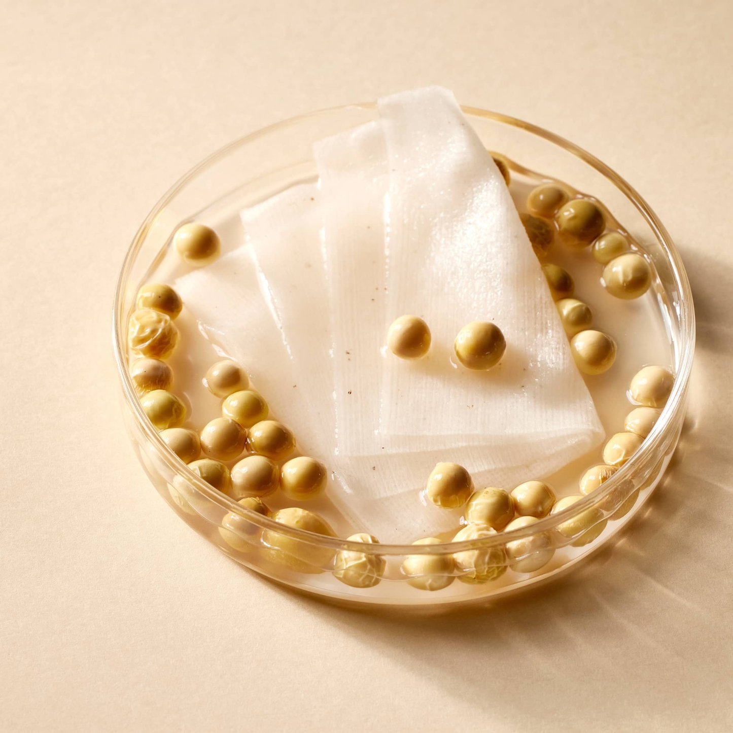 Mixsoon - Bean Toner Pad [70 pads/280ml]